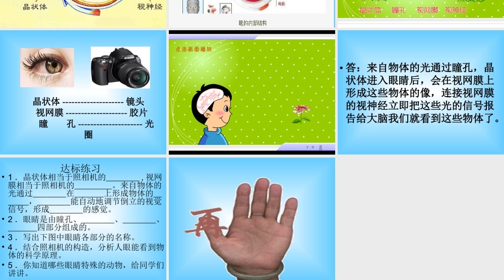 青岛小学科学五下《6.照相机和眼睛》PPT课件 (1) .ppt