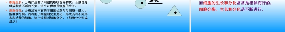 青岛小学科学六下《1. 细胞》PPT课件 (1).ppt
