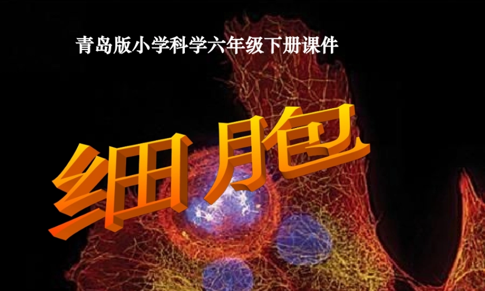 青岛小学科学六下《1. 细胞》PPT课件 (3).ppt