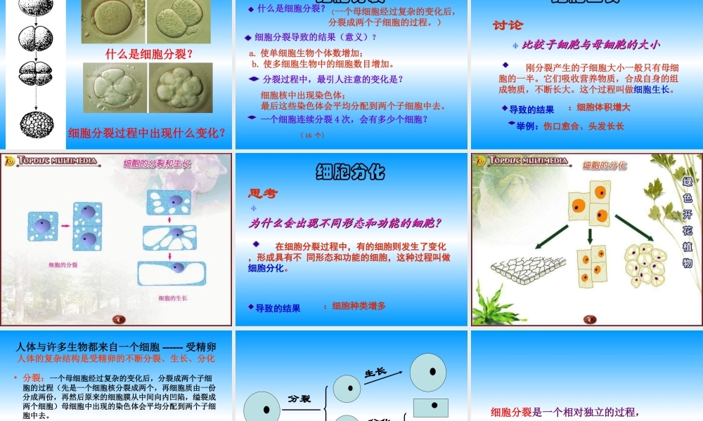 青岛小学科学六下《1. 细胞》PPT课件 (2).ppt