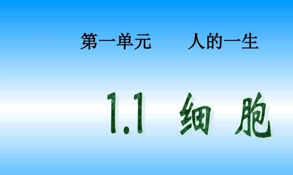 青岛小学科学六下《1. 细胞》PPT课件 (4).ppt