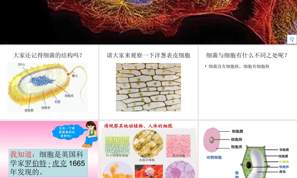 青岛小学科学六下《1. 细胞》PPT课件 (5).ppt