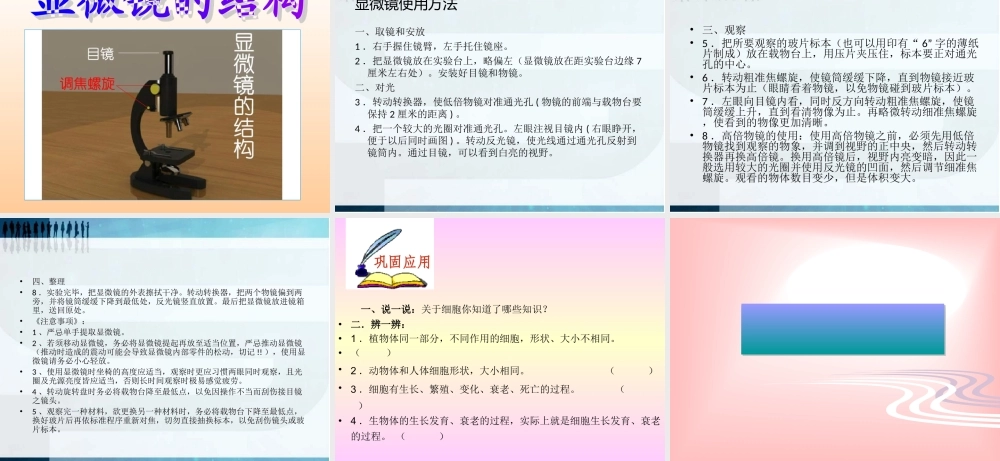 青岛小学科学六下《1. 细胞》PPT课件 (5).ppt