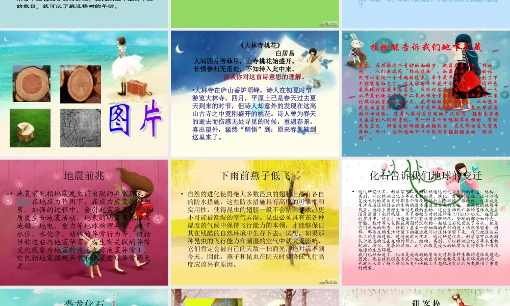 青岛小学科学六下《16、来自大自然的信息》PPT课件 (2) .ppt