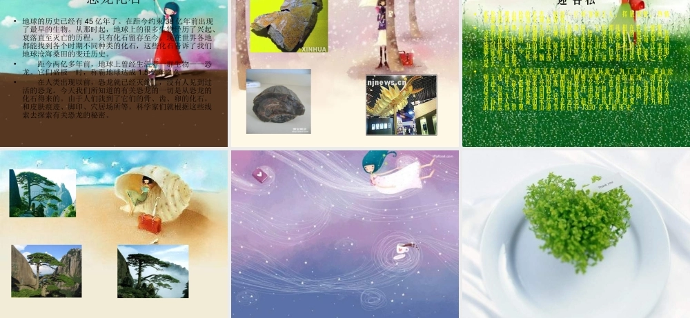 青岛小学科学六下《16、来自大自然的信息》PPT课件 (2) .ppt