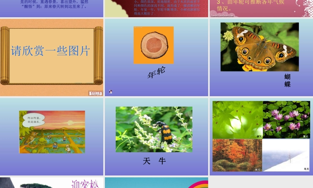 青岛小学科学六下《16、来自大自然的信息》PPT课件 (4) .ppt