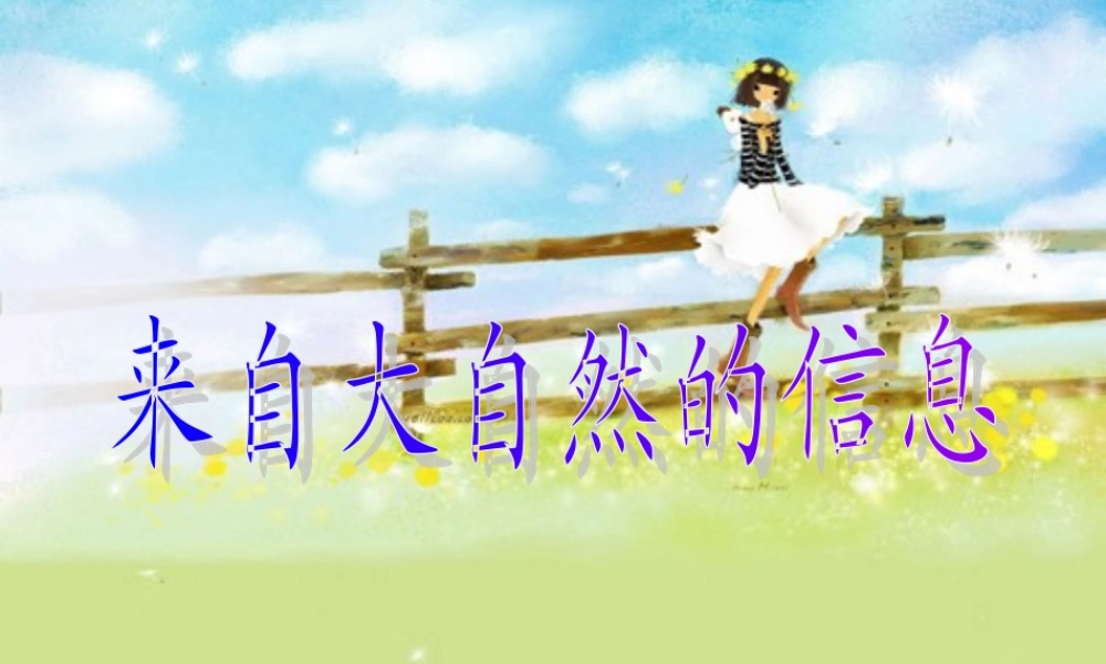 青岛小学科学六下《16、来自大自然的信息》PPT课件 (1) .ppt