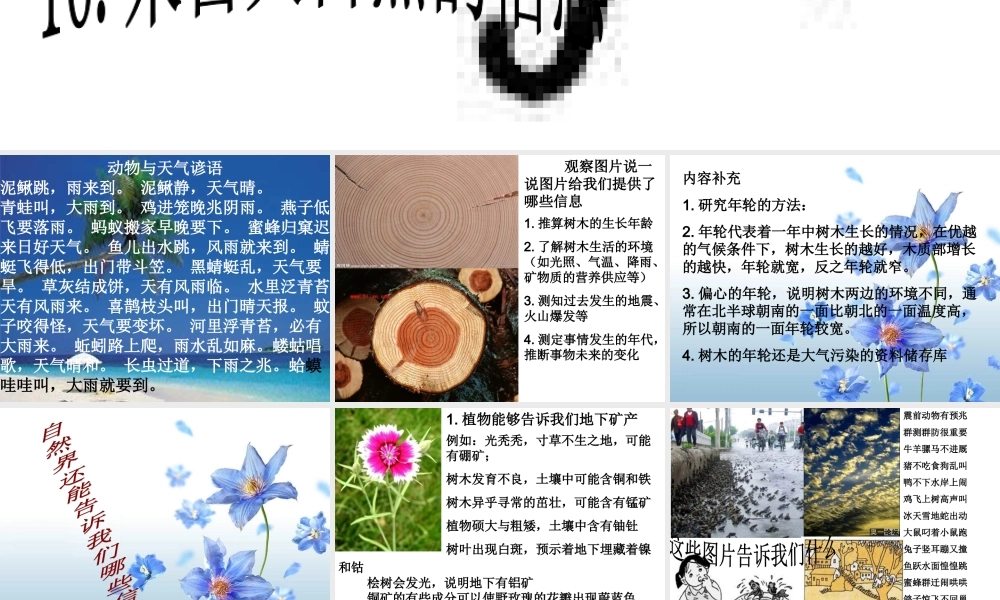 青岛小学科学六下《16、来自大自然的信息》PPT课件 (3) .ppt