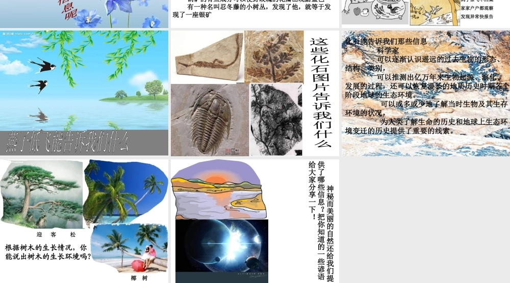 青岛小学科学六下《16、来自大自然的信息》PPT课件 (3) .ppt