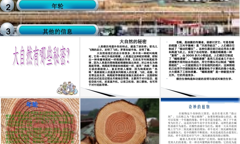 青岛小学科学六下《16、来自大自然的信息》PPT课件 (6) .ppt