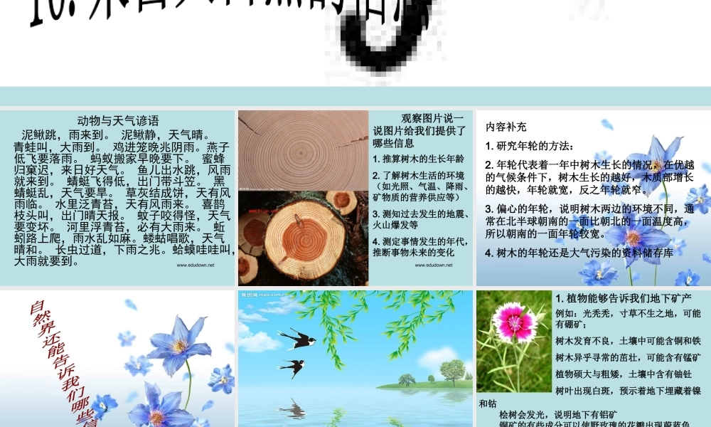 青岛小学科学六下《16、来自大自然的信息》PPT课件 (7) .ppt