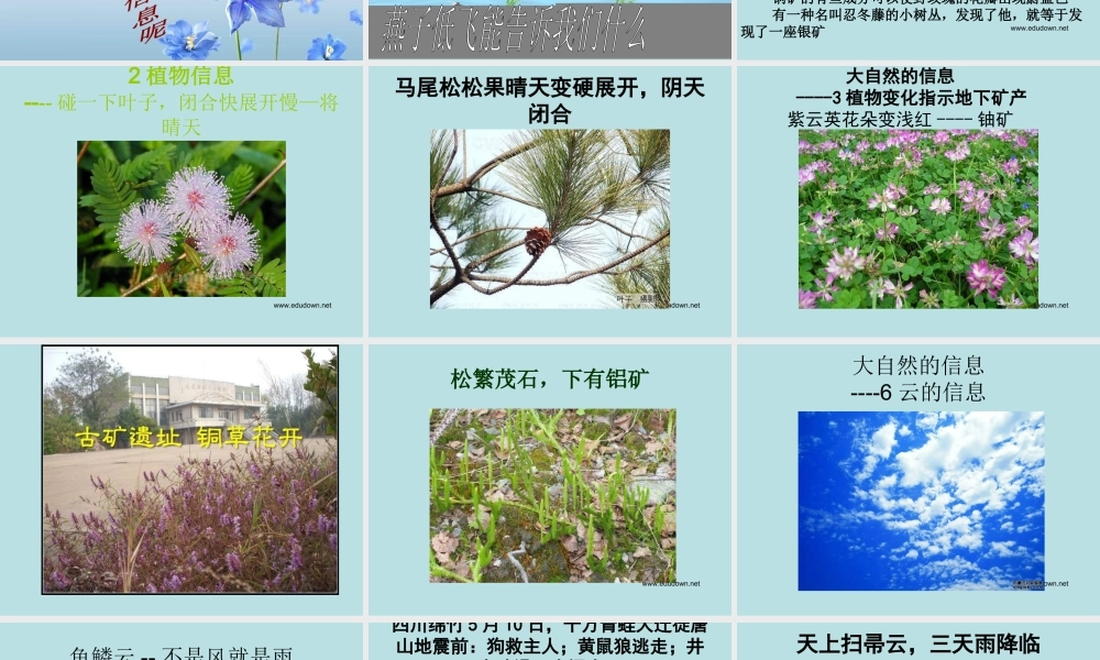 青岛小学科学六下《16、来自大自然的信息》PPT课件 (7) .ppt