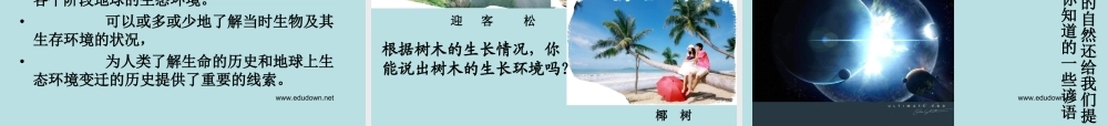 青岛小学科学六下《16、来自大自然的信息》PPT课件 (7) .ppt