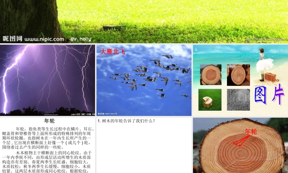 青岛小学科学六下《16、来自大自然的信息》PPT课件 (9) .ppt