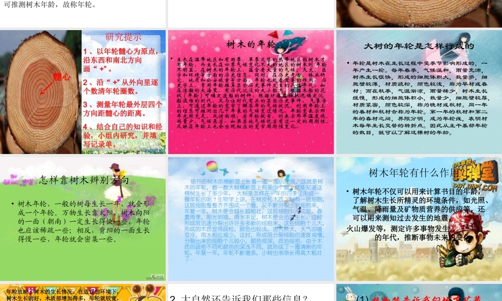 青岛小学科学六下《16、来自大自然的信息》PPT课件 (9) .ppt