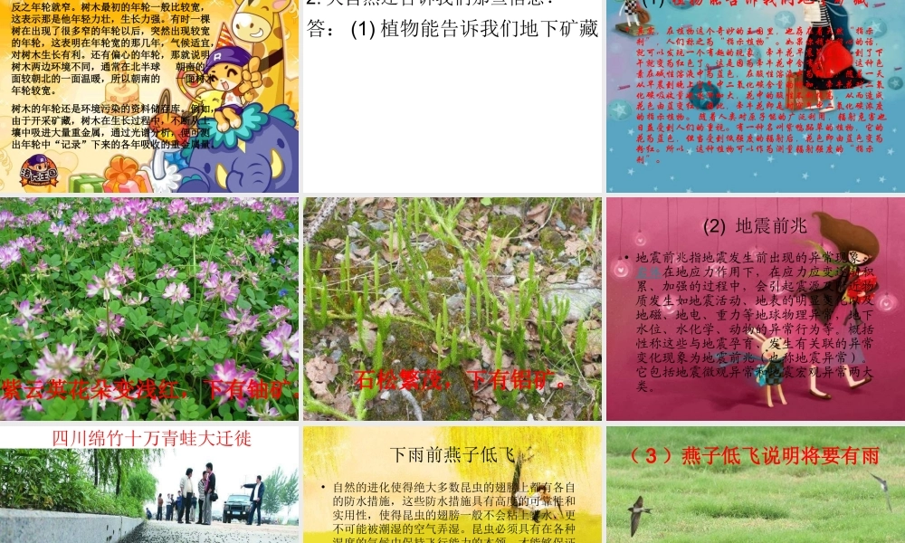 青岛小学科学六下《16、来自大自然的信息》PPT课件 (9) .ppt