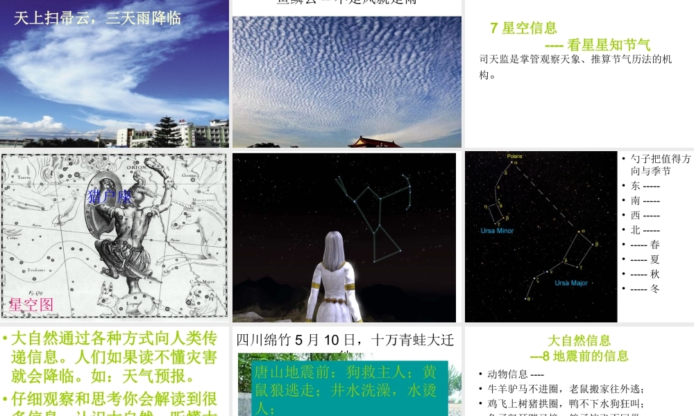 青岛小学科学六下《16、来自大自然的信息》PPT课件 (8) .ppt