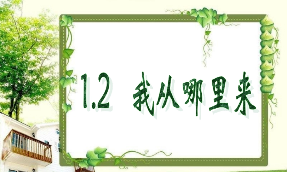 青岛小学科学六下《2 . 我从哪里来》PPT课件 (4) .ppt