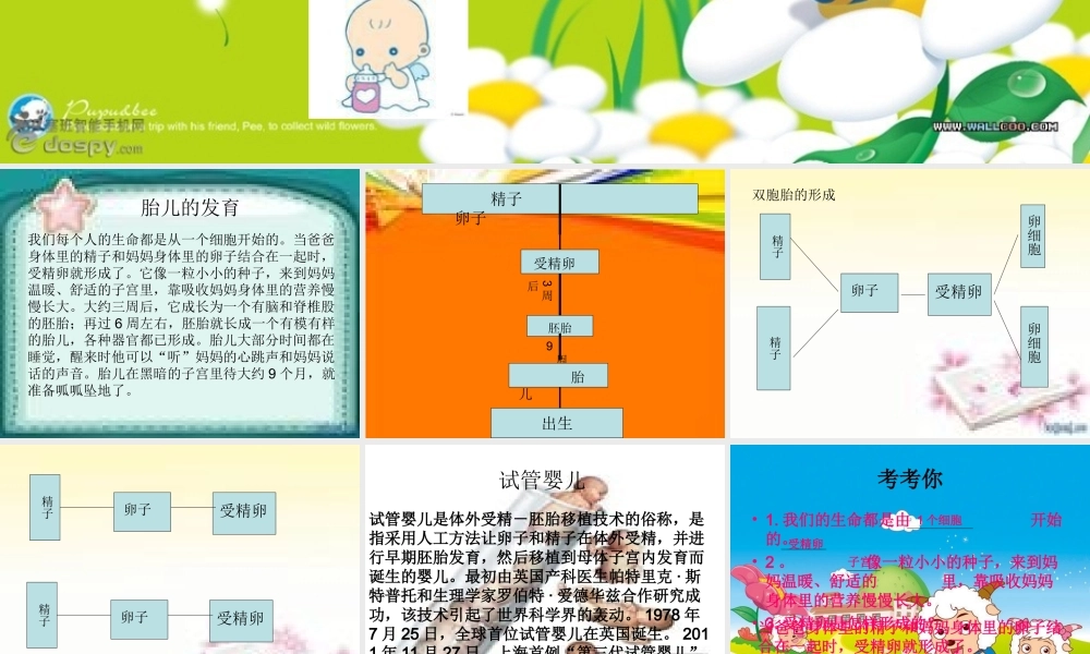 青岛小学科学六下《2 . 我从哪里来》PPT课件 (3) .ppt