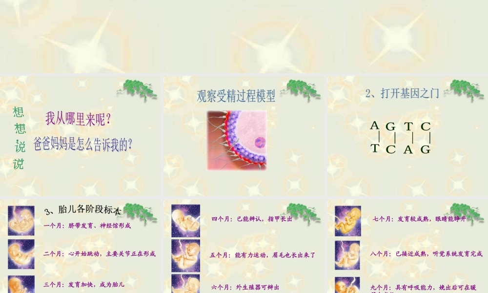 青岛小学科学六下《2 . 我从哪里来》PPT课件 (2) .ppt