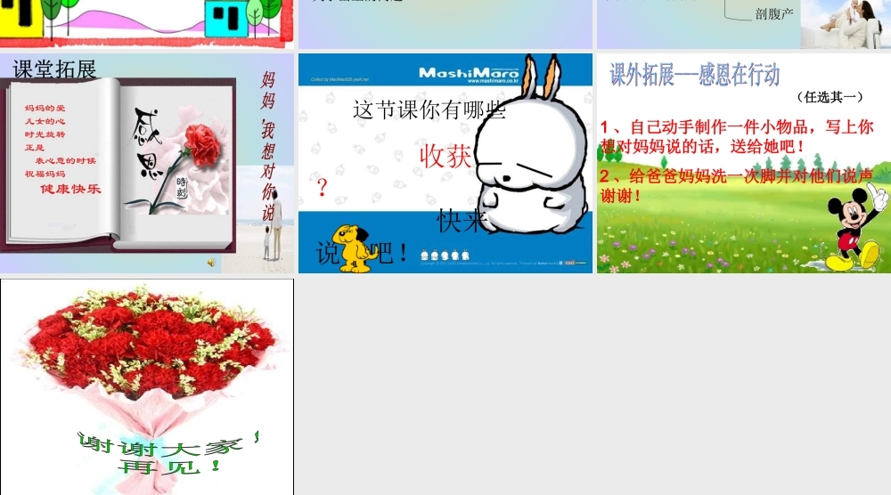 青岛小学科学六下《2 . 我从哪里来》PPT课件 (6) .ppt