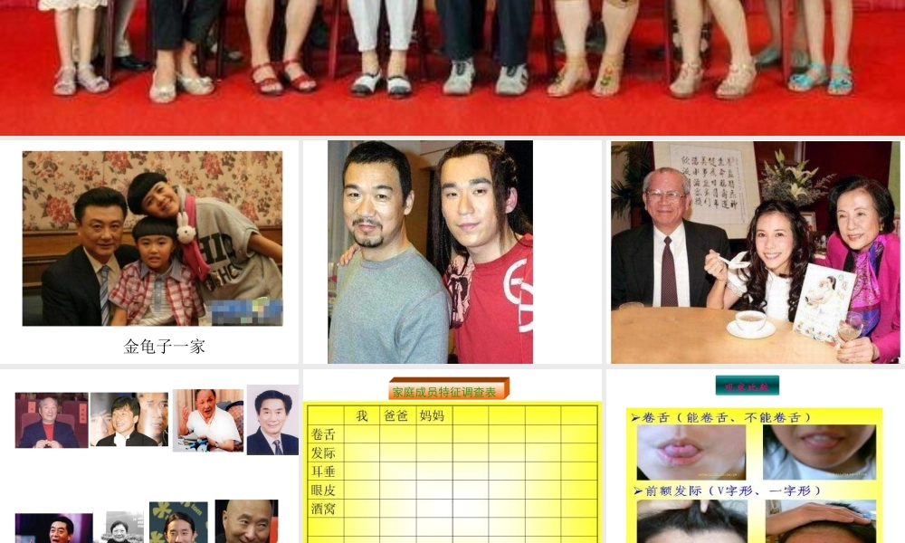 青岛小学科学六下《4 . 我像谁》PPT课件 (1) .ppt