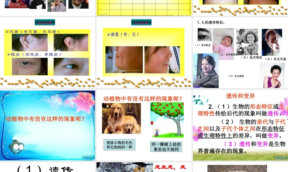青岛小学科学六下《4 . 我像谁》PPT课件 (1) .ppt
