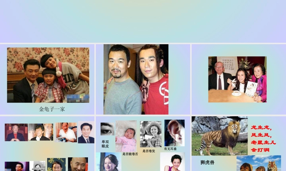 青岛小学科学六下《4 . 我像谁》PPT课件 (3) .ppt