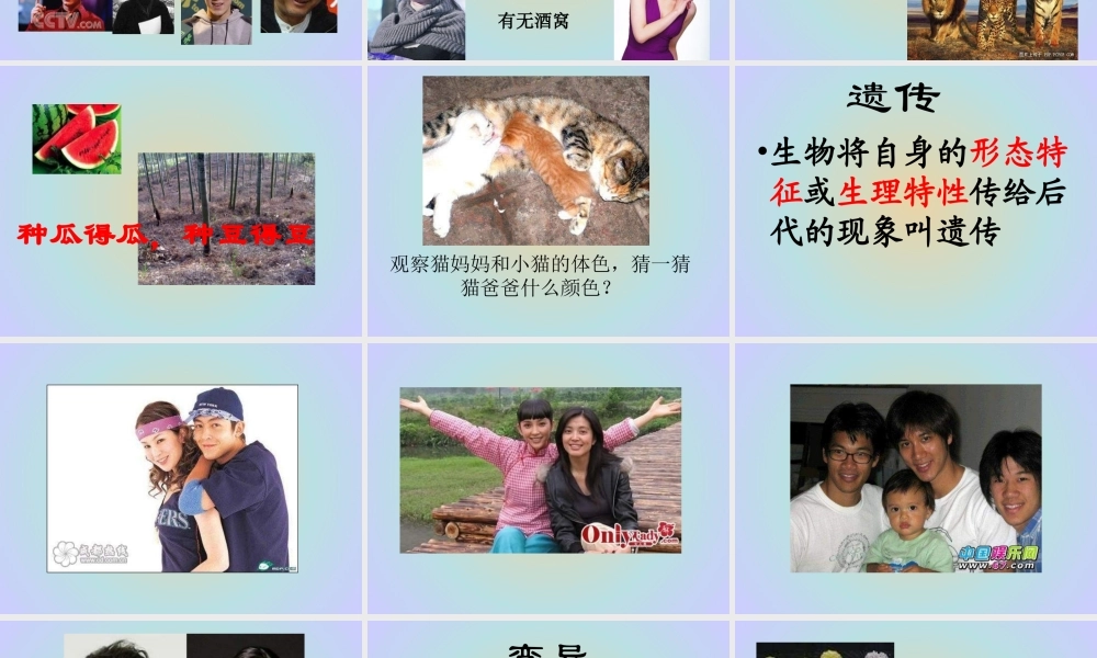 青岛小学科学六下《4 . 我像谁》PPT课件 (3) .ppt