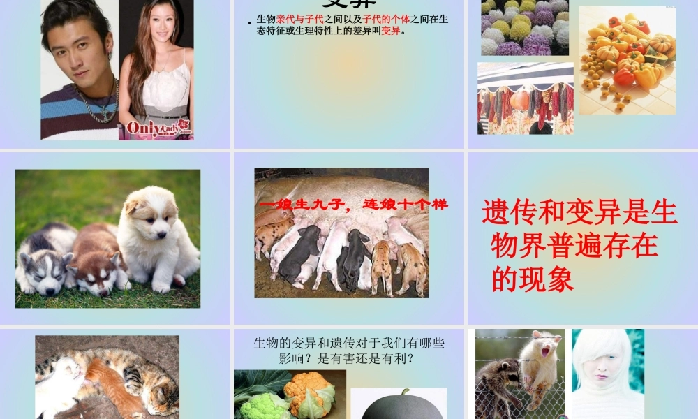 青岛小学科学六下《4 . 我像谁》PPT课件 (3) .ppt