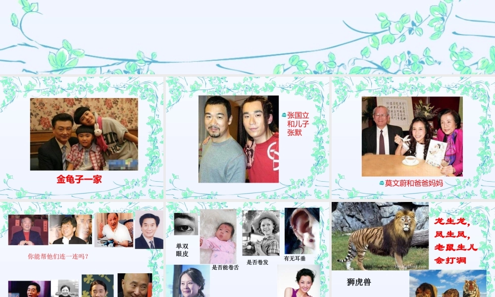 青岛小学科学六下《4 . 我像谁》PPT课件 (4) .ppt