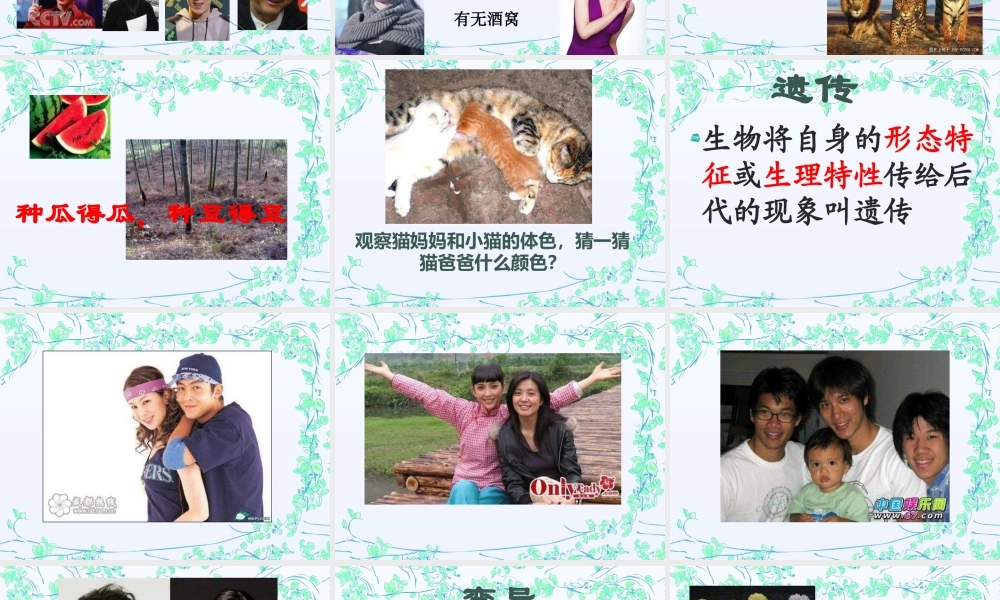 青岛小学科学六下《4 . 我像谁》PPT课件 (4) .ppt