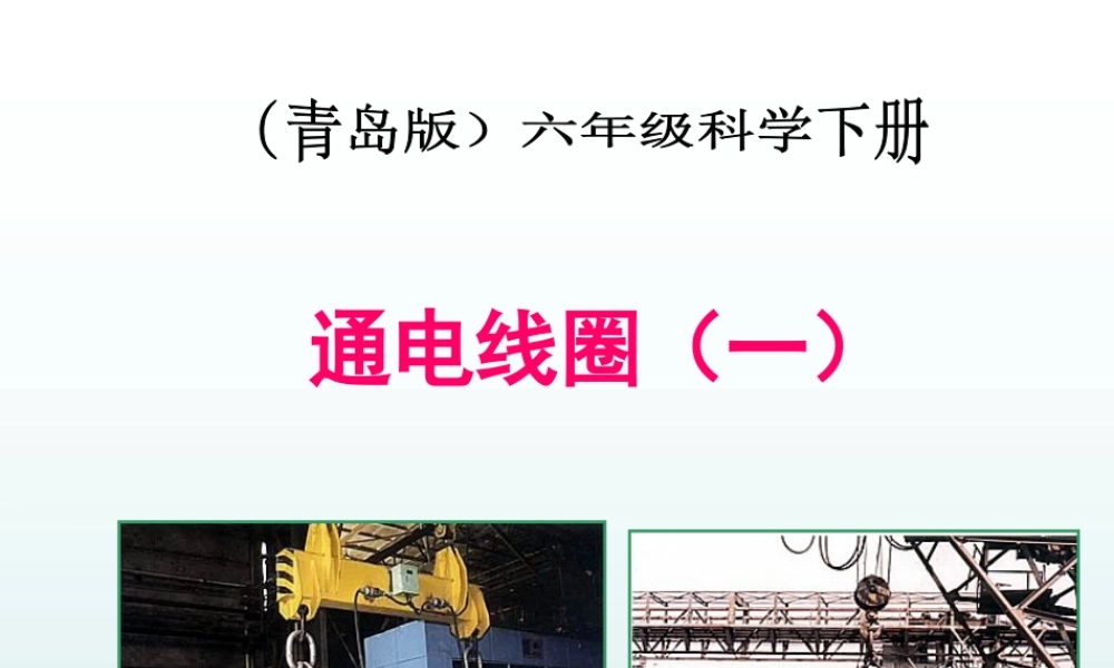 青岛小学科学六下《8、通电的线圈（一）》PPT课件 (4) .ppt