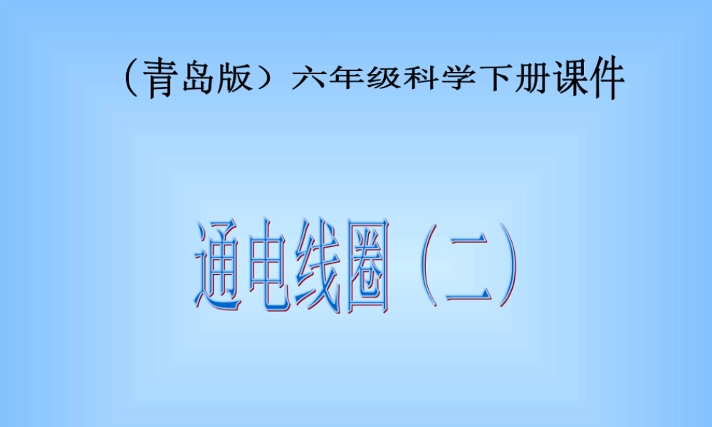 青岛小学科学六下《8、通电的线圈（一）》PPT课件 (6).ppt