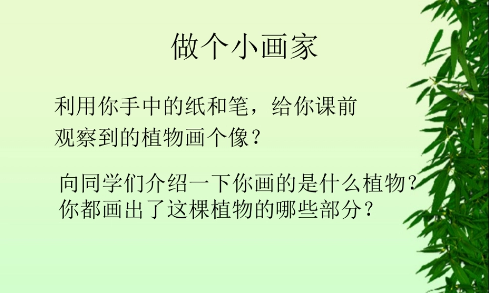 青岛小学科学四上《1 植物的身体》PPT课件 (1) .ppt