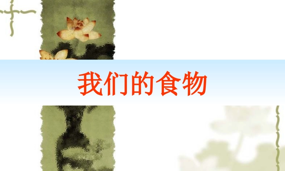 青岛小学科学四上《1 我们的食物》PPT课件 (6) .ppt