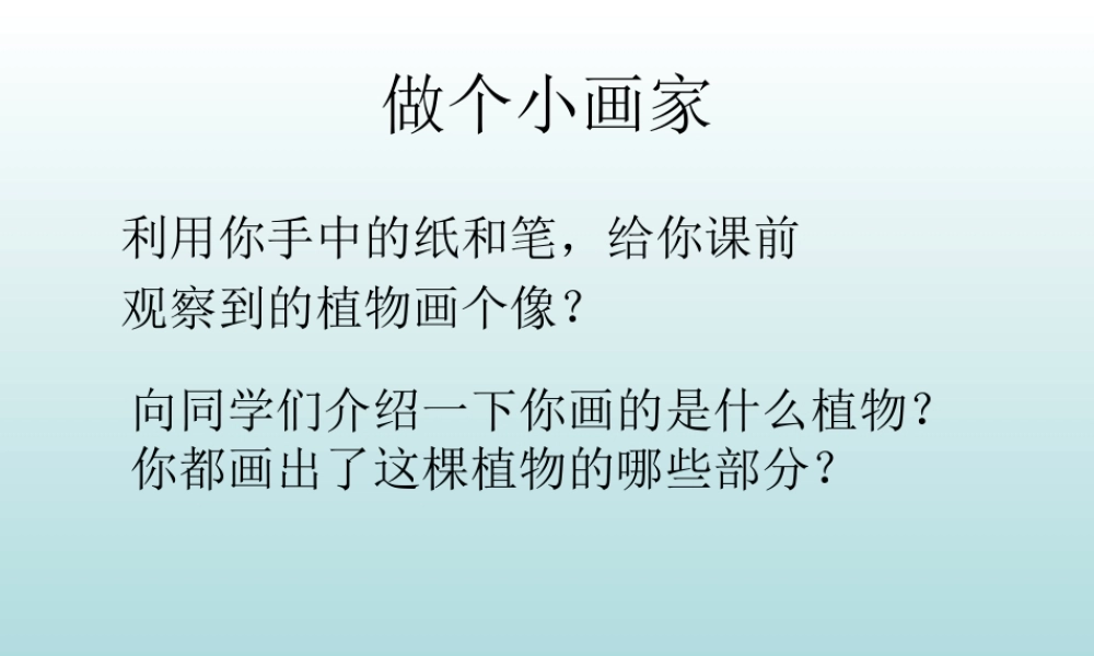 青岛小学科学四上《1 植物的身体》PPT课件 (4) .ppt