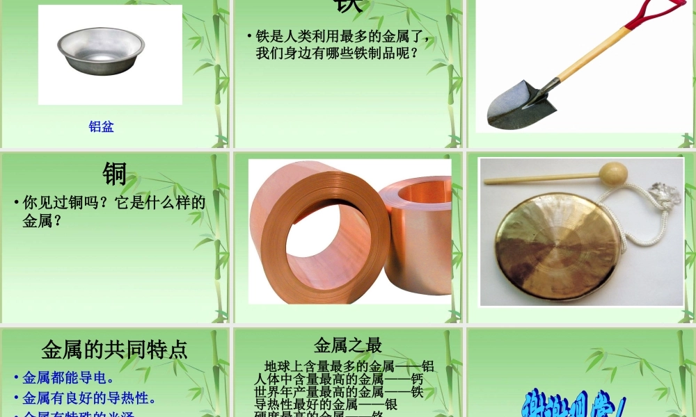 青岛小学科学四上《11 金属》PPT课件 (2) .ppt