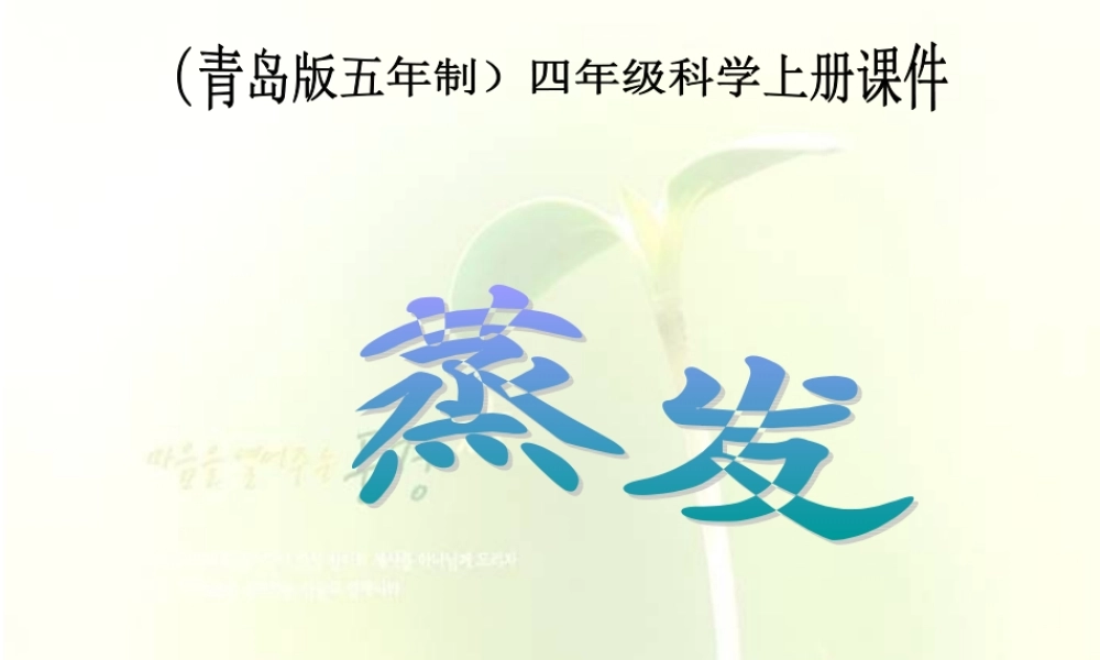 青岛小学科学四上《13 蒸发》PPT课件 (2) .PPT