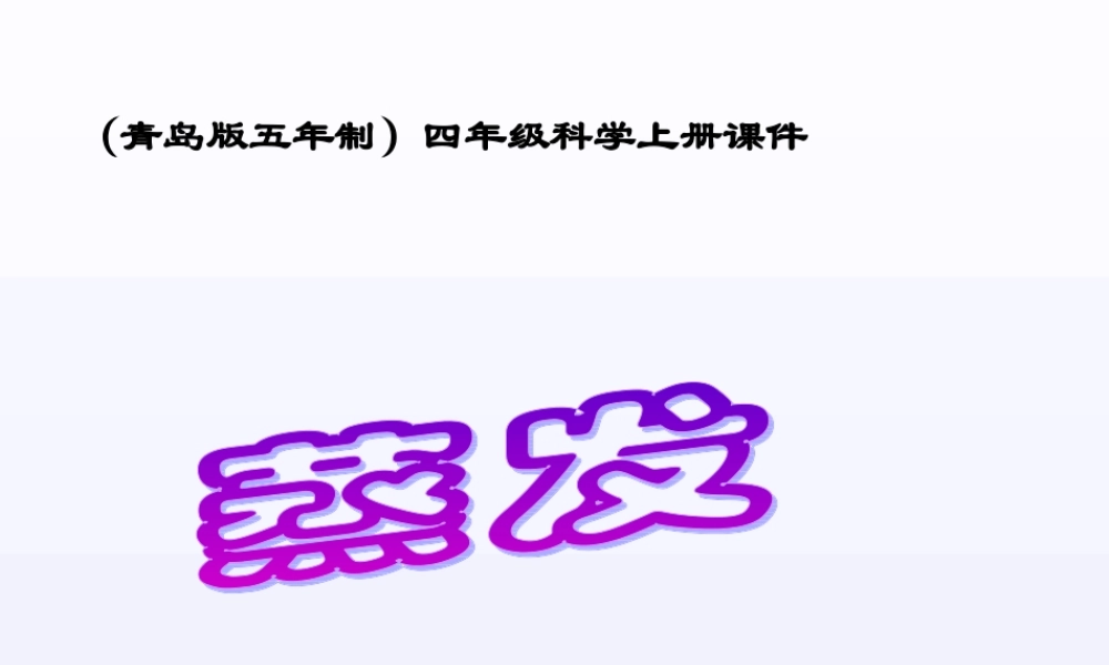 青岛小学科学四上《13 蒸发》PPT课件 (1) .ppt