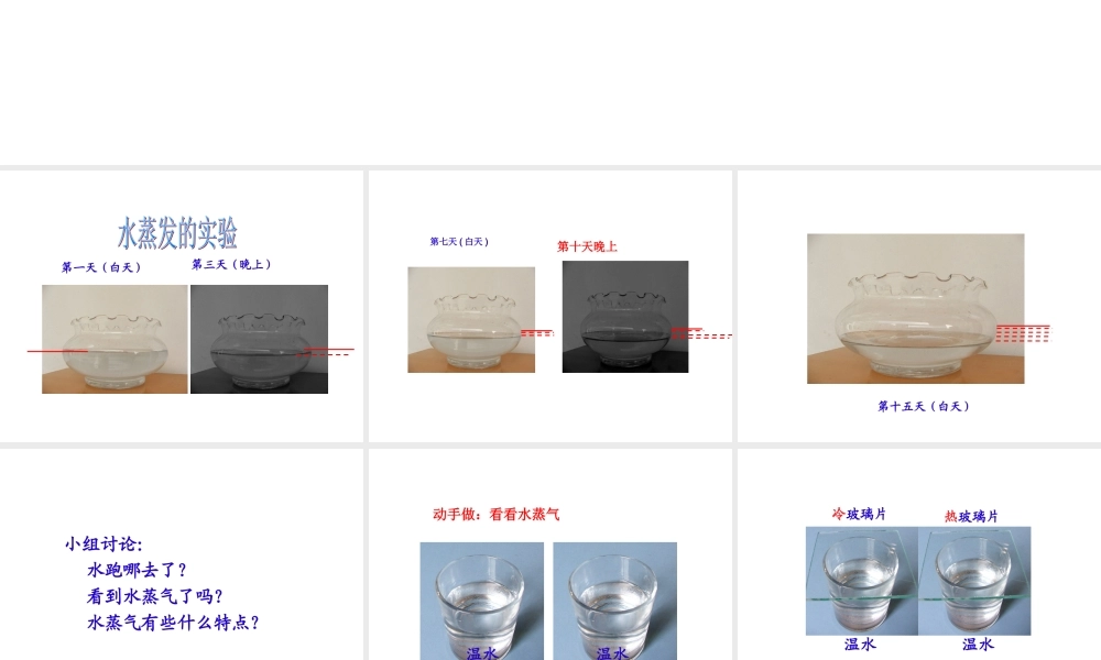 青岛小学科学四上《16 水的三态变化》PPT课件 (4) .ppt