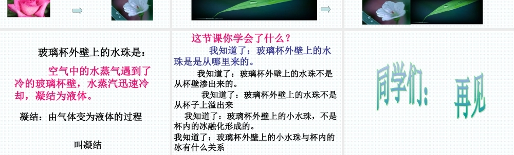 青岛小学科学四上《15 凝结》PPT课件 (2) .ppt