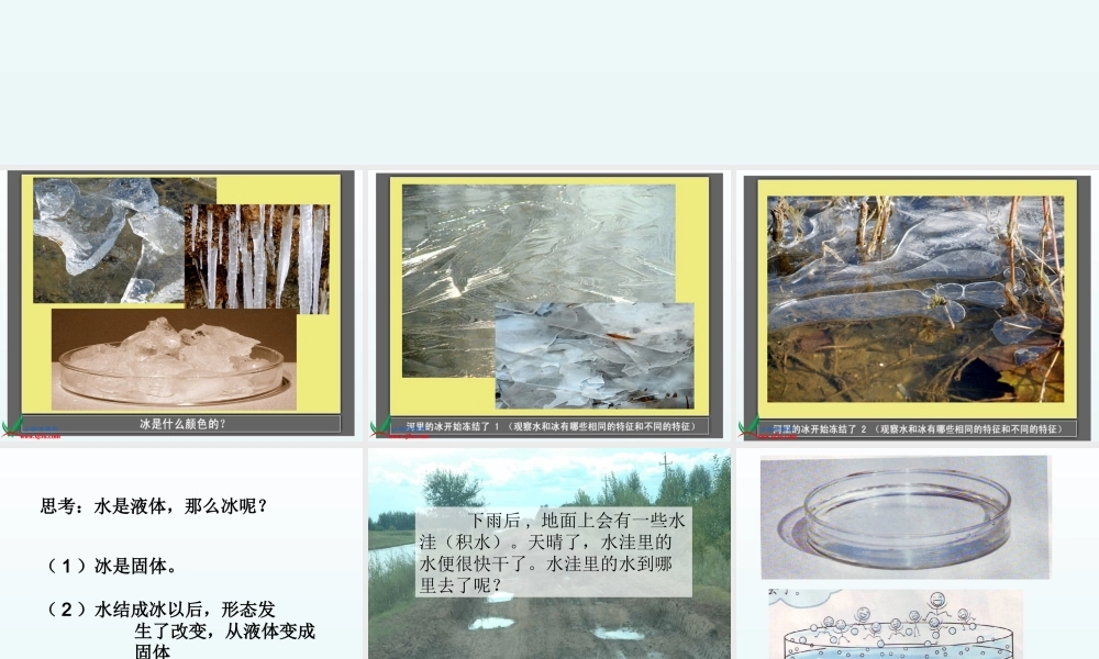 青岛小学科学四上《16 水的三态变化》PPT课件 (3) .ppt