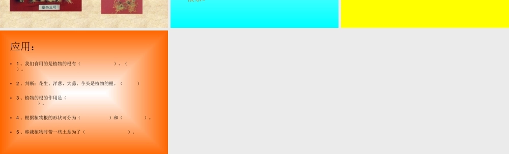 青岛小学科学四上《2 植物的根》PPT课件 (1) .ppt