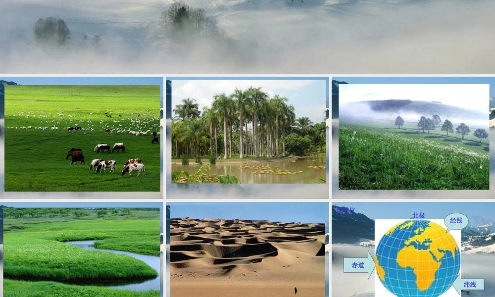 青岛小学科学四上《19 地球上有什么》PPT课件(1).ppt