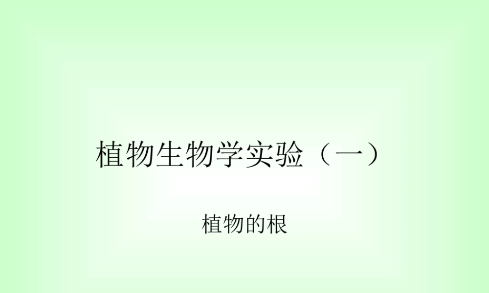 青岛小学科学四上《2 植物的根》PPT课件 (3) .ppt