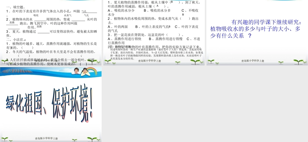 青岛小学科学四上《3 植物的叶》PPT课件 (1) .ppt