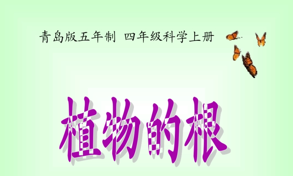 青岛小学科学四上《2 植物的根》PPT课件 (4) .ppt