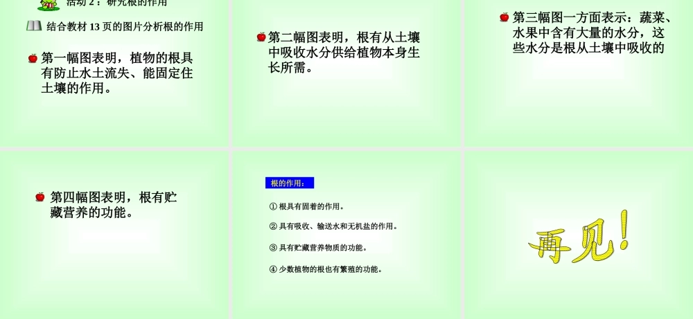 青岛小学科学四上《2 植物的根》PPT课件 (4) .ppt