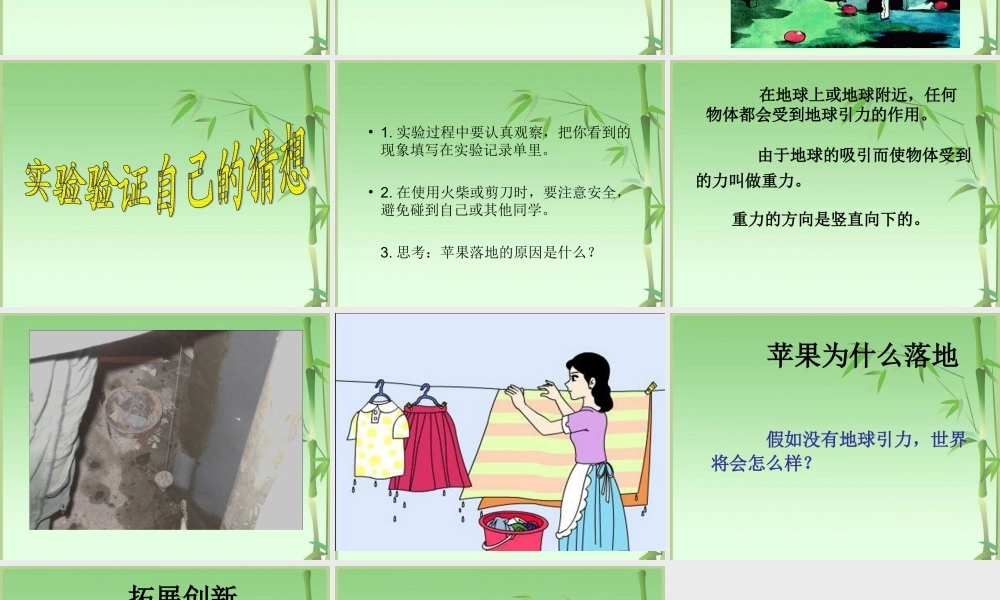 青岛小学科学四上《20 苹果为什么落地》PPT课件 (2) .ppt